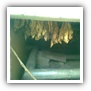LEAF TOBACCO SHREDDED TOBACCO raw tobacco leaf dark air cured tobacco rustica tobacco FLUE CURED TOBACCO